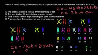 2N 1N N  Diploid Haploid  Chromosome number [upl. by Anaiviv]