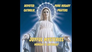 The Joyful Mysteries 🙏  Monday amp Saturday Rosary 📿  🙏 Prayer Only No Music or Scripture 🎶📕 [upl. by Nilyac]