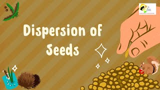 Watch A Large Variety Of Seeds Using Smart Dispersal Techniques [upl. by Casta630]