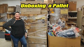 Unboxing a pallet of amazing decor items We have something to make it snow inside your house [upl. by Arrek]