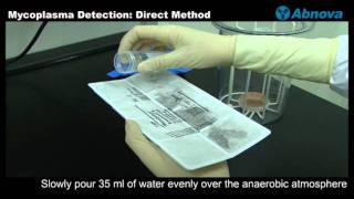 Mycoplasma Detection Direct Method [upl. by Chien]