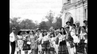 Moldavian Folk Music Orchestra populara din Chisinau Sârba 1950s [upl. by Furr]