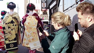 A Stroll Through Minamiza amp Miyagawacho’s Geisha District in Kyoto  京都、宮川町～南座を歩く美人舞妓さんと外国人観光客、海外の反応 [upl. by Kamat]