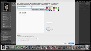 Review Excire Search Lightroom Plugin [upl. by Annaliese]