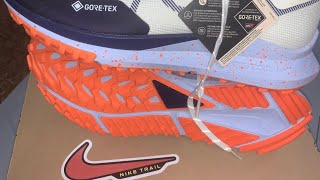 My Favourite Trail Running Shoes  Nike Pegasus Trail 4 GoreTex  First Look [upl. by Suravart]