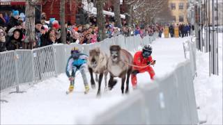 Porokarnevaalit  Poro Sprint  Reindeer Carnival  Reindeer Sprint Race [upl. by Eboj825]