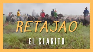 RETAJAO EL CLARITO Llanos de Venezuela Arreo de ganado llanero Aguaro Guariquito Trashumancia [upl. by Rocca416]