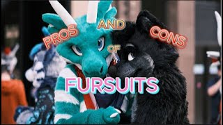 Fursuit Unboxing the PROS and CONS [upl. by Nnednarb383]