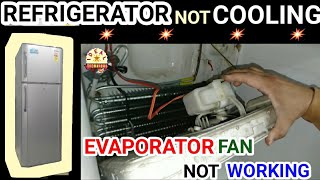 Double Door Refrigerator Not Cooling  Identify Problem Of Double Door Refrigerator And Solve [upl. by Ahsin]