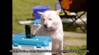 White Family SoftBank Dog CM 091 quotPhotovision for Mothers Dayquot Japanese Commercial ENG SUB [upl. by Salamanca]