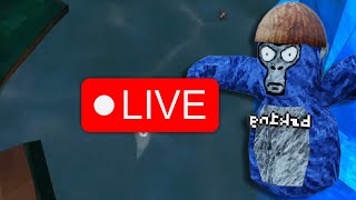 🔴LIVE IN GORILLA TAG WITH VIEWERS 🔴 ROAD TO 10K [upl. by Eerehc]