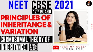 Chromosomal Theory of Inheritance  Principles of Inheritance and Variation Class 12 P6  NEET 2021 [upl. by Trenna]