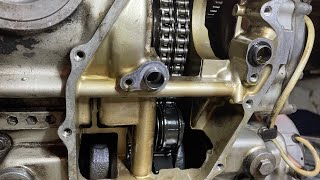 Timing Chain Check [upl. by Piks]