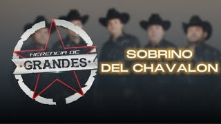 Sobrino Del Chavalon  Herencia De Grandes Vídeo Lyrics Cover [upl. by Idnis887]