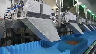 Multiple Linear Weigher Mixing Formula Weighing System [upl. by Blank]