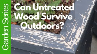 How Long Can Untreated Wood Survive Outdoors [upl. by Enalahs]