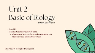 ห้องติววิทยา 2023 Gen Bio I 12 Eukaryotic cell [upl. by Hamon]