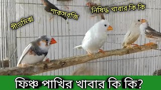 ফিঞ্চ পাখির খাবার কি কি  ফিঞ্চ পাখির সীডমিক্স শাকসবজি ফলমূল  ও নিষিদ্ধ খাবার তালিকা grow life [upl. by Lyrahs295]