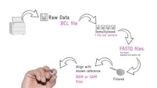 NGS data analysis Pipelines Bioinformatics and other jargon [upl. by Nyletak]