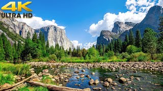 Yosemite Valley Complete Scenic Drive  Yosemite National Park 4K California [upl. by Nivla]