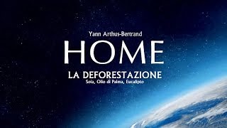 HOME  La Deforestazione Soia Olio di Palma Eucalipto  HD [upl. by Ahsenhoj]