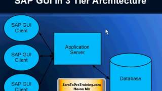 What is SAPGui SAP GUI Overview [upl. by Thaine]