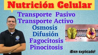 NUTRICION CELULAR TRANSPORTE ACTIVO Y PASIVO FAGOCITOSIS DIFUSION OSMOSIS PINOCITOSIS [upl. by Koffman]