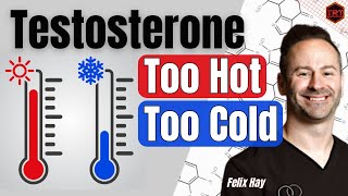 How Temperatures Affect Testosterone [upl. by Najed]