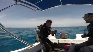 Diving and lionfish hunting  Punta Cana DR 2014 [upl. by Hudis]