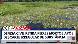 63 toneladas de peixes mortos são retiradas do Rio Piracicaba I Bora Brasil [upl. by Meela]