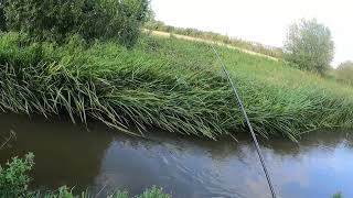 fiskeri i stor Hansted Ã¥ Horsens [upl. by Fulvi]