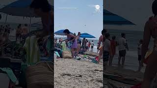 Massive swarm of dragonflies invades beach in Rhode Island [upl. by Anaidirib883]