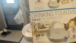 Pioneer Pet Swan Pet Drinking Fountain for Cats and Dogs Great for Multiple Pets Review [upl. by Gates]