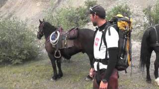 Yukon Caribou Hunt ft Trent Fox with Widrig Outfitters 2010 [upl. by Buyse]