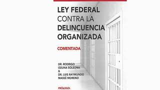 delincuencia organizada trabajo [upl. by Llehsem]