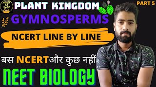 GymnospermsPlant KingdomBiology class 11th Ncert  Neet biologyPlant Kingdom [upl. by Terrag]