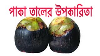 পাকা তাল খাওয়ার স্বাস্থ্য উপকারিতা  Health Benefits of Eating paka tal Bangla [upl. by Shirley139]