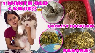 What Do We Feed Our Pups To Make Them Healthy  VLOGMAS ‘22 Day 21  Husky Pack TV [upl. by Nadnal321]