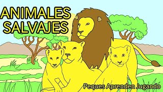 Los animales salvajes para niños Características de animales salvajes Video de PequesAprendenJugando [upl. by Anauq]