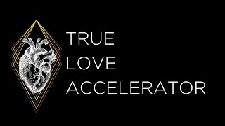 How to Heal Codependency and Create Self Love  True Love Accelerator Pt 112 [upl. by Baer]