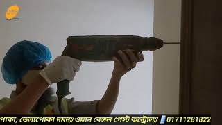 Termite cockroach control in Moghbazar Dhakaউইপোকা তেলাপোকা দমন [upl. by Aitnecserc]