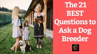 The BEST 21 Questions to Ask Before Adopting a Purebred Dog [upl. by Kersten]