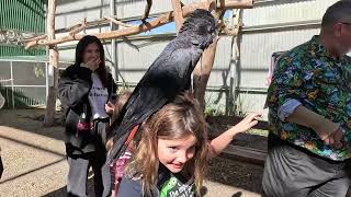 MALENY BIRD SANCTUARY amp BOTANIC GARDENS [upl. by Assyl994]