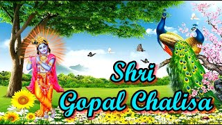 Shri Gopal Chalisa  Pour les enfants chantez cette chalisa 20 fois par jour  Bhajan puissant [upl. by Aicaca]