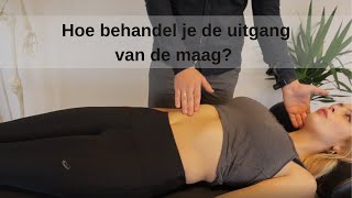 maagpijn verhelpen door osteopathie Wat doet een osteopaat bij maagklachten [upl. by Asum410]