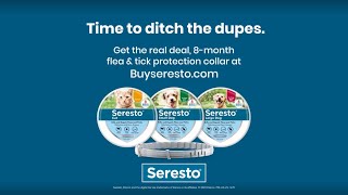 Seresto® Flea and Tick Collars for Dogs 8 Continuous Months of Protection for Your Pet [upl. by Plato310]