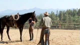 How to Use Spurs on Your Horse with Pat Parelli [upl. by Mensch644]