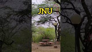 JNU CAMPUS  Beauty of JNU Campus  JNU Campus में मोर  JNU TOUR  JNU ISAQ KI GALI jnu jnucampus [upl. by Groeg]