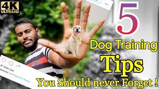 5 Dog Training Tips amp Secrets in 5 Minutes Hindi 4K  Smart Dog Training [upl. by Felipe]