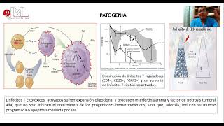 APLASIA MEDULAR GENERALIDADES PARTE 1 [upl. by Airdnax]